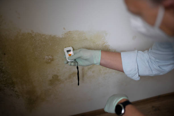 Greenbrier, AR Mold Remediation Company